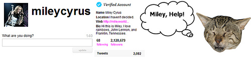 Twitter Fan Threatens to Kill Miley Cyrus’ Cat & Make a ‘Cat Dish’ The ‘Hannah Montana’ star’s sudden exit from Twitter has shocked the entire Twitterverse, especially her hardcore fans. The once avid Twitterer with over 2 million followers said she doesn’t miss the micro blogging site on 104.7 FM’s Johnjay and Rich Show in Arizona a week ago.
And now, one of her fans has threatened to kill her cat Fuzzy and even intends to create a cat dish out of it if the 16-year-old singer does not return to the micro-blogging platform. In an effort to bring Miley back to Twitter, the loyal Twitter fan of the celebrity launched a website called <a href="http://mileysavefuzzy.com/"target="_blank">MileySaveFuzzy</a> to 'raise awareness' of his campaign.
<img src="http://farm3.static.flickr.com/2597/4057853682_9bd65f4705.jpg"/>