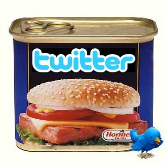 <img style="float:right;" src="http://www.techxav.com/wp-content/uploads/2010/03/twitter_spam.jpg"/>In an effort to combat phishing and spam, which has been an unsolved issue for Twitter for the past years, the micro-blogging platform yesterday said in a <a href="http://blog.twitter.com/2010/03/trust-and-safety.html">blog post</a> that they have rolled out its own URL shortener called Twt.tl to protect users that strikes a major blow against phishing and other deceitful attacks.

<blockquote>Today, we’re launching a new service to protect users that strikes a major blow against phishing and other deceitful attacks. By routing all links submitted to Twitter through this new service, we can detect, intercept, and prevent the spread of bad links across all of Twitter. Even if a bad link is already sent out in an email notification and somebody clicks on it, we'll be able keep that user safe.</blockquote>